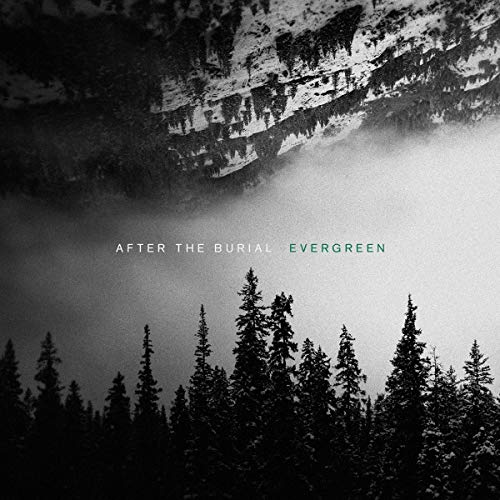 After The Burial Evergreen