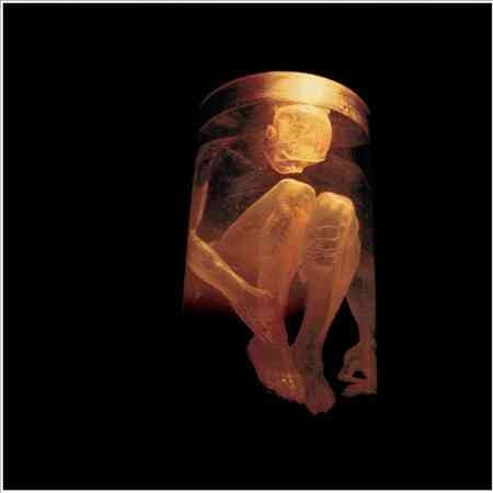 Alice In Chains - Nothing Safe: The Best Of The Box (CD)