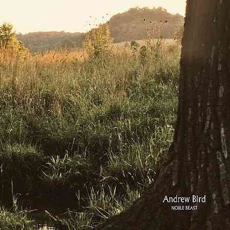 Andrew Bird - Noble Beast (CD)