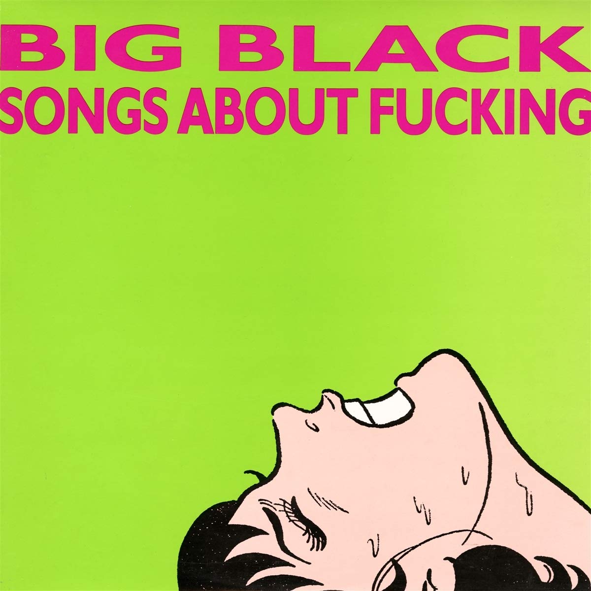 Big Black Songs About F***ing