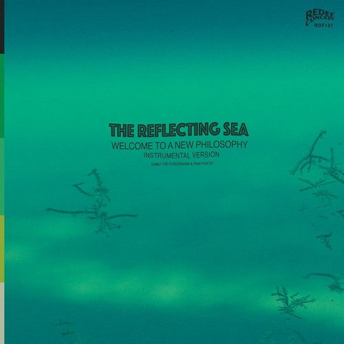 Damu the Fudgemunk & Raw Poetic Instrumentals From The Reflecting Sea (Green & Blue Vinyl)