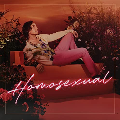 Darren Hayes Homosexual