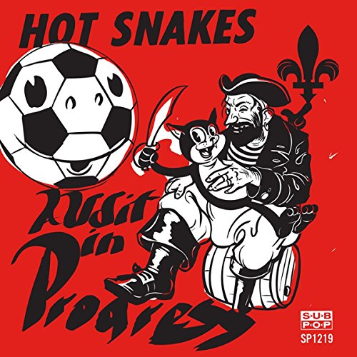 Hot Snakes Audit In Progress