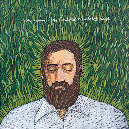 Iron & Wine Our Endless Numbered Days