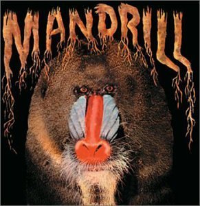 Mandrill Mandrill