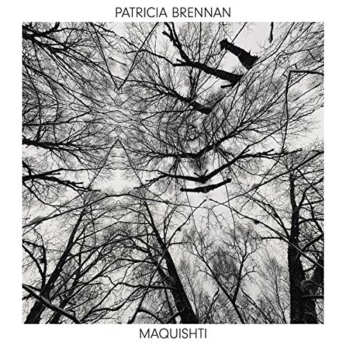 Patricia Brennan Maquishti