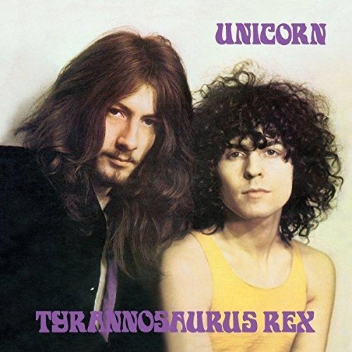 Tyrannosaurus Rex Unicorn