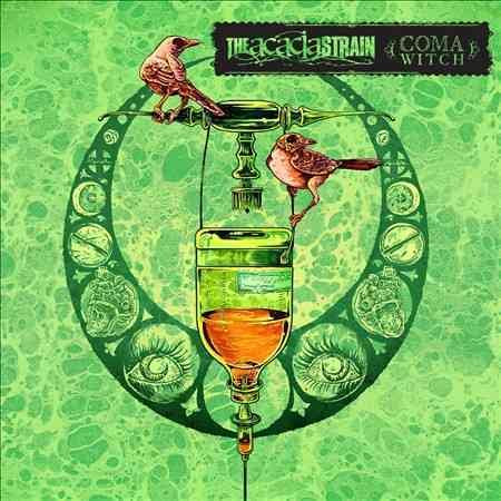 Acacia Strain COMA WITCH