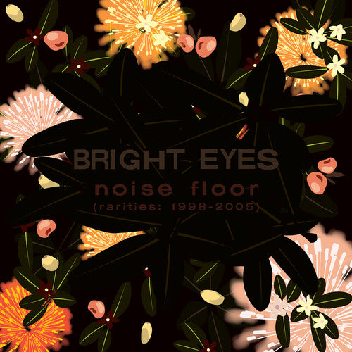 Bright Eyes Noise Floor (rarities: 1998-2005) - Champagne Wave