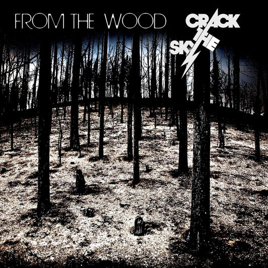 Crack the Sky From The Wood