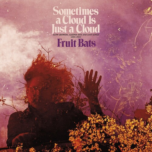 Fruit Bats Sometimes a Cloud Is Just a Cloud: Slow Growers, Sleeper Hits and Lost Songs (2001–2021) (Colored Vinyl, Pink, Violet, Gatefold LP Jacket, Digital Download Card) (2 Lp's)