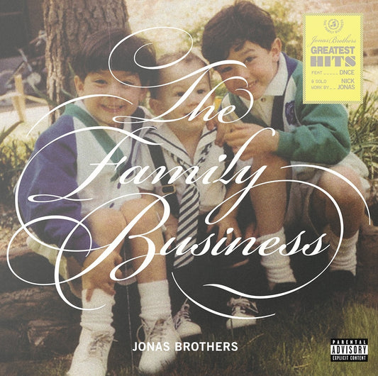 Jonas Brothers The Family Business