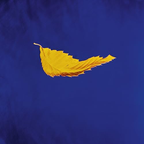 New Order True Faith (2023 Remaster)