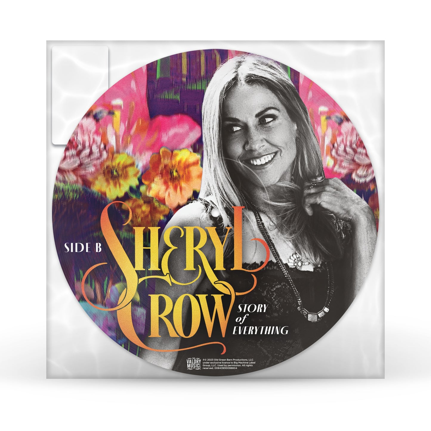 Sheryl Crow Story Of Everything [Picture Disc LP]