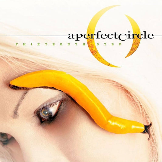 A Perfect Circle | Thirteenth Step (LP, Gatefold)