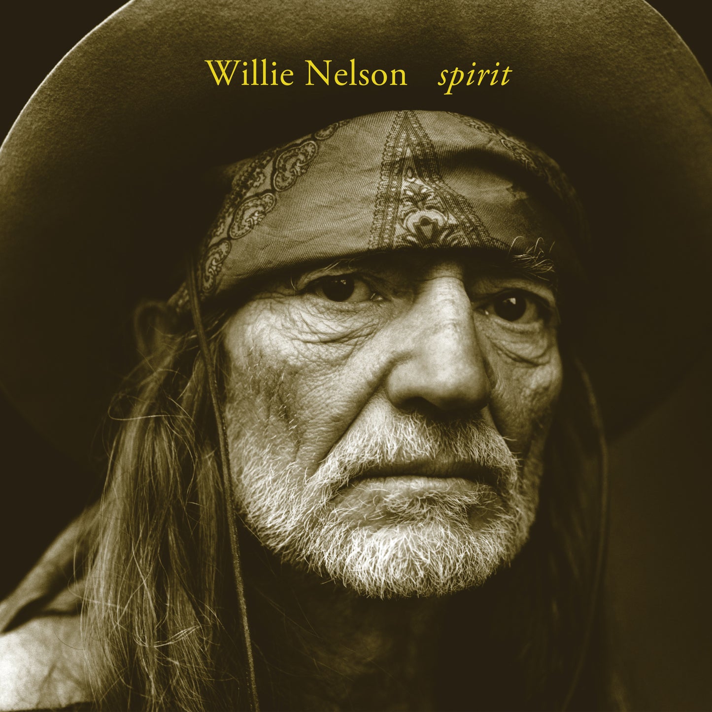 Willie Nelson Spirit [LP]