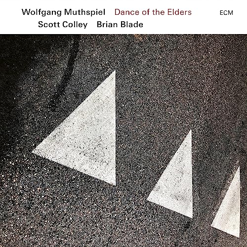 Wolfgang Muthspiel/Scott Colley/Brian Blade Dance of the Elders