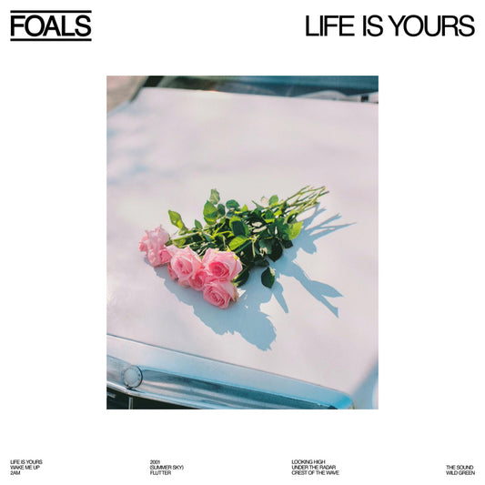 Foals Life Is Yours