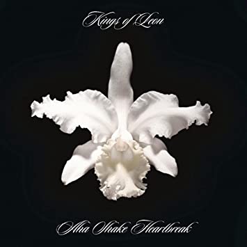 Kings of Leon Aha Shake Heartbreak(180-gram) [Import] (2 Lp's)