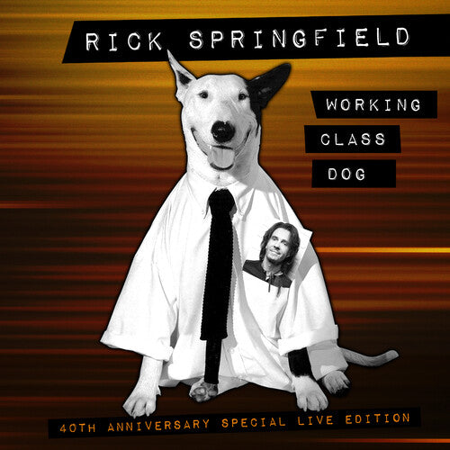 Rick Springfield Working Class Dog (40th Anniversary Special Live Edition)