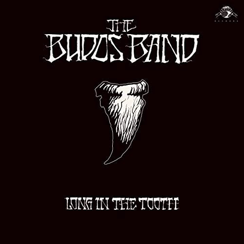 The Budos Band Long In The Tooth (Digital Download Card)