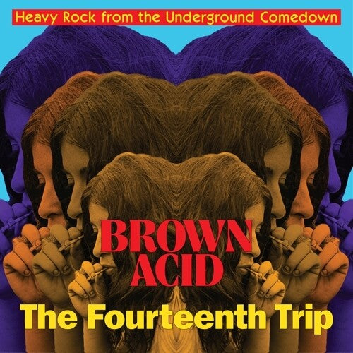 VARIOUS ARTISTS Brown Acid: The Fourteenth Trip