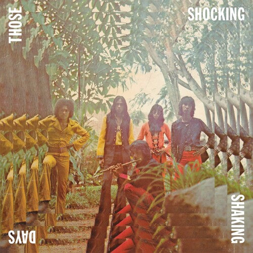 Various Artists Those Shocking Shaking Days (2 LP)