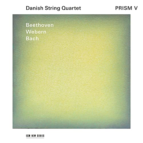 Danish String Quartet Prism V