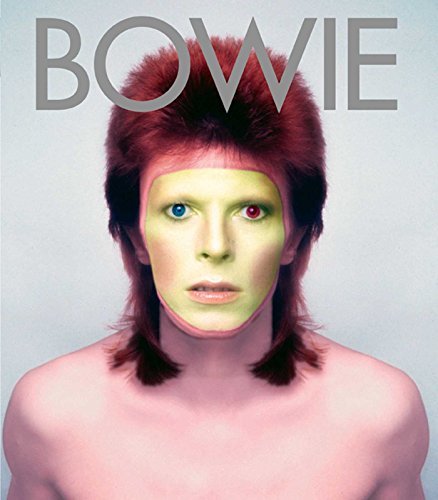 David Bowie Bowie: Album By Album