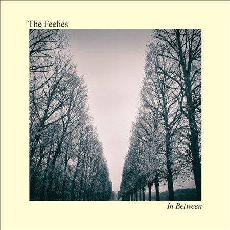 Feelies IN BETWEEN