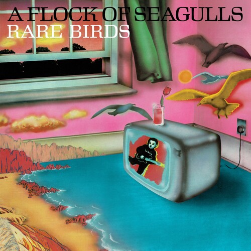 Flock of Seagulls Rare Birds - a Flock of Seagulls' B-Sides (RSD 4.22.23)