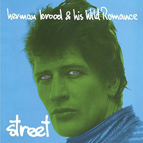 Herman Brood / His Wild Romance Street