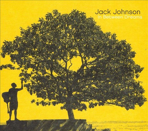 Jack Johnson In Between Dreams