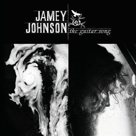 Jamey Johnson THE GUITAR SONG