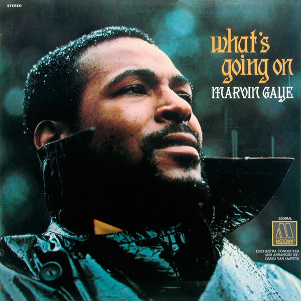 Marvin Gaye MARVIN GAYE - What'S Going On LP