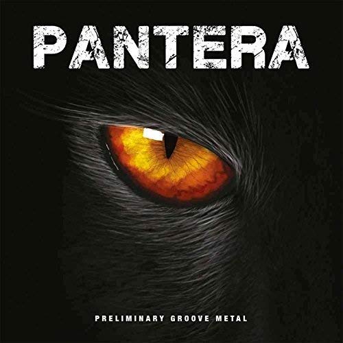 Pantera Preliminary Groove Metal