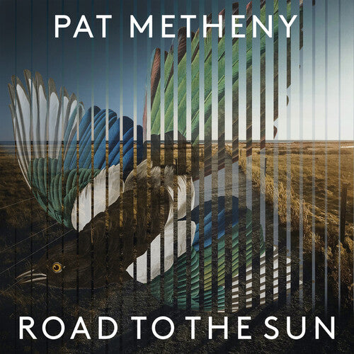 Pat Metheny Road To The Sun (2 Lp's)