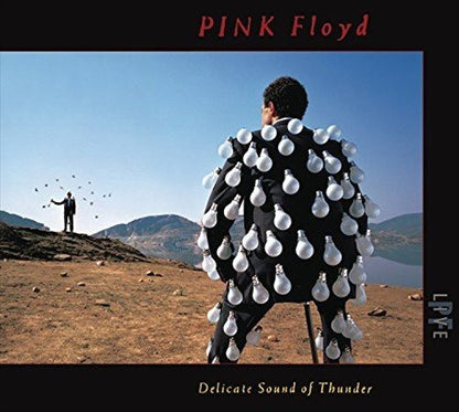 Pink Floyd DELICATE SOUND OF THUNDER (LIVE)