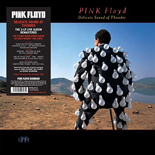 Pink Floyd Delicate Sound Of Thunder