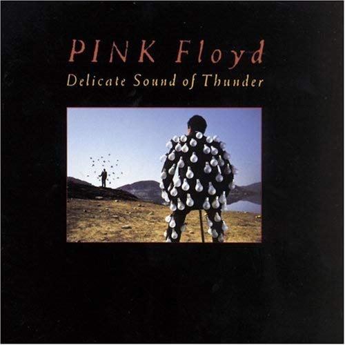 Pink Floyd Delicate Sound Of Thunder