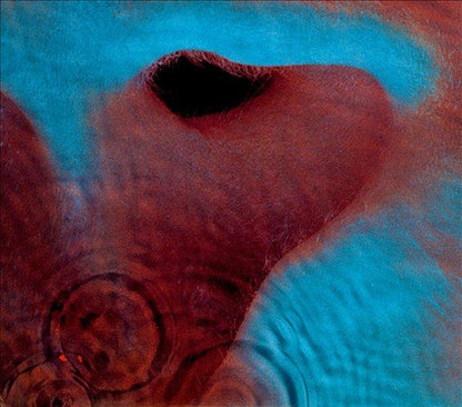 Pink Floyd Meddle (Gatefold LP Jacket, 180 Gram Vinyl)