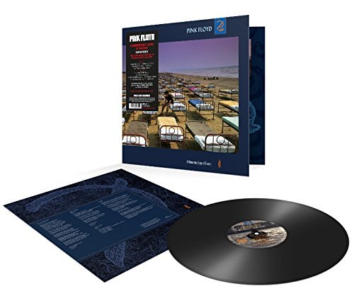 Pink Floyd Pink Floyd - Momentary Lapse Of Reason (2011 Remastered) LP