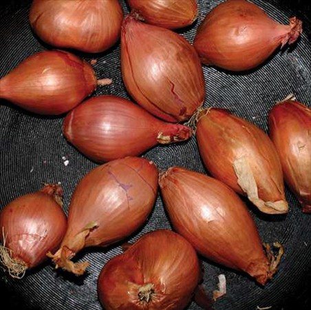 Ty Segall FRIED SHALLOTS