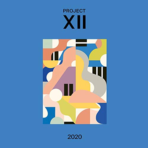 Various Artists XII 2020 [LP]