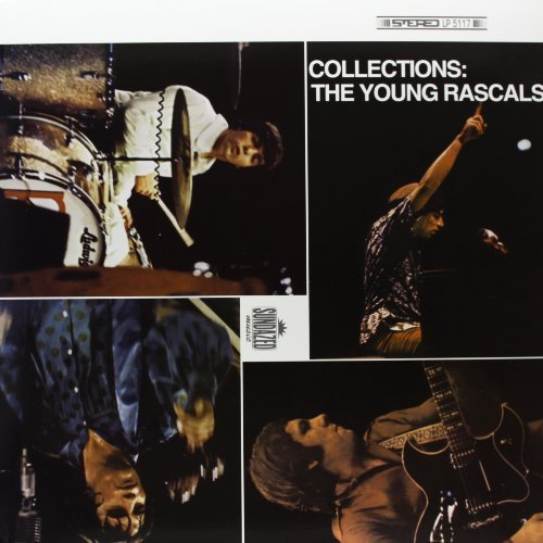 Young Rascals COLLECTIONS